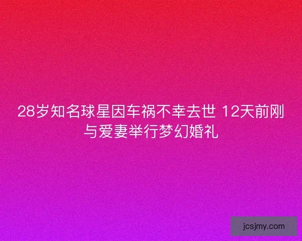28岁知名球星因车祸不幸去世 12天前刚与爱妻举行梦幻婚礼