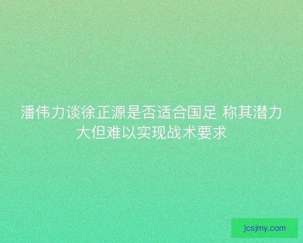 潘伟力谈徐正源是否适合国足 称其潜力大但难以实现战术要求 潘伟力谈徐正源是否适合国足 称其潜力大但难以实现战术要求