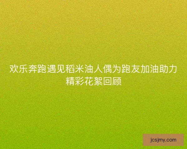 欢乐奔跑遇见稻米油人偶为跑友加油助力精彩花絮回顾